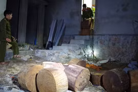 Đột kích kho gỗ nghiến lớn tại Hà Giang