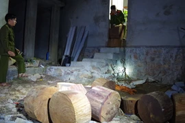 Đột kích kho gỗ nghiến lớn tại Hà Giang