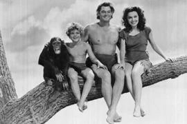 Tinh tinh Cheetah qua đời ở tuổi 80