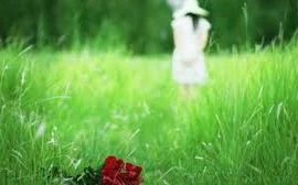 Dấn sâu vào cuộc "yêu trong bóng tối”, tôi muốn được công khai