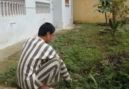 Oan nghiệt chuyện đánh chết vợ bằng một thanh củi