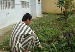 Oan nghiệt chuyện đánh chết vợ bằng một thanh củi