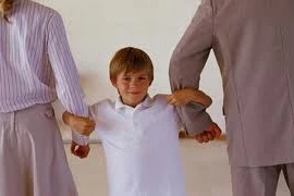 Đơn phương li hôn vì chồng không có chính kiến