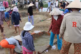 Ầm ỹ chuyện phá mộ bắt “rùa đá” giải cứu “long mạch”