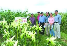 Thực phẩm biến đổi gene: Phát kiến vĩ đại hay thảm hoạ công nghệ?