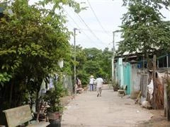 Chú đâm cháu vì muốn bênh đàn chó dữ