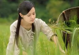 Những “đả nữ” của màn ảnh Việt Nam