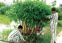 Nghe tin chết người, sát nhân tuổi teen bước không nổi