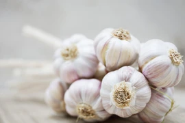 Những thực phẩm nói “KHÔNG” với tủ lạnh