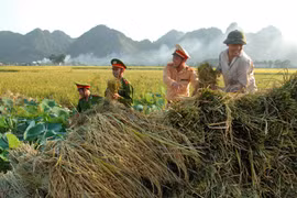 Chuyến tác nghiệp khó quên giữa đợt nắng nóng lịch sử