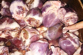 Phát hiện hơn 1 tạ tim lợn đông lạnh đã mốc xanh