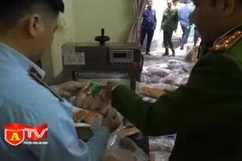 Phát hiện gần 1,2 tấn ức vịt, cánh gà đông lạnh không rõ nguồn gốc