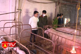 Nâng cao chất lượng, hiệu quả thực hiện công tác tái hòa nhập cộng đồng