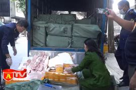 Phát hiện hơn một tấn nầm lợn, trứng non không rõ nguồn gốc xuất xứ