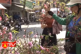 Tổ chức giao thông phục vụ chợ hoa Xuân 2023