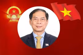 [Info] Tân Bộ trưởng Bộ Ngoại giao Bùi Thanh Sơn