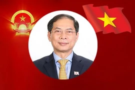 [Info] Tân Bộ trưởng Bộ Ngoại giao Bùi Thanh Sơn