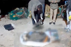 Chấn động: Phát hiện thi thể bé gái tị nạn mắc vào lưới đánh cá