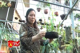 Điểm sáng giúp người đặc xá hoàn lương