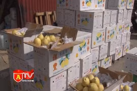 Phát hiện vụ vận chuyển gần 4 tấn hoa quả nhập lậu