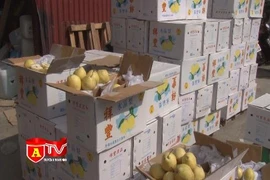 Phát hiện vụ vận chuyển gần 4 tấn hoa quả nhập lậu