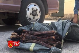 Làm rõ vai trò các đối tượng trong vụ vận chuyển 20 cá thể voọc sấy khô