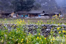 Kỳ diệu vén mây tìm cỏ, vén đá tìm nước