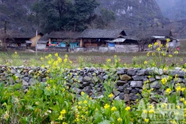 Kỳ diệu vén mây tìm cỏ, vén đá tìm nước