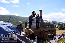 “Vàng trắng” nơi ải Bắc