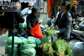 Hương mùi ngào ngạt đón xuân sang