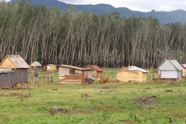 Khởi tố bắt tạm giam 2 đối tượng chiếm đất doanh nghiệp