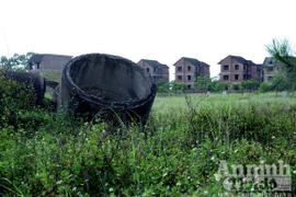 "Thú chơi": Xây biệt thự tiền tỷ để…nuôi cỏ dại.