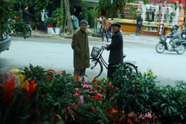 Ngó qua chợ phiên, thấy xuân sắc đã về