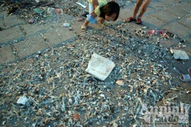 Giờ trái đất không chỉ có tắt điện