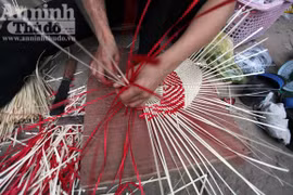 Tài hoa những cánh tay gọi gió