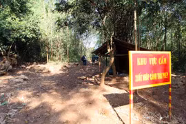 Tiến sâu vào hang bắt "cọp” trong đêm