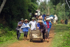 Giả định “sự cố” đê điều làm gần 500 người hỗn loạn
