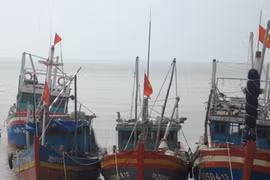 Yêu cầu 46.800 tàu thuyền vào bờ trú tránh bão số 8 