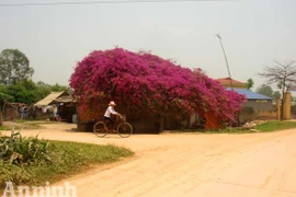 "Cô" Đích kỳ tài "bắt" được... 30 nghìn con ma