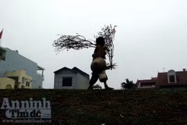 Hai "cơn lốc" trong một thú chơi đào xuân