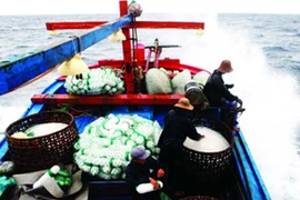 Một ngư dân gặp nguy vì vây cá xuyên mu bàn chân