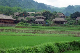 Kỷ luật 4 tổ chức đảng và 188 đảng viên