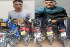 Bộ đôi dùng vam phá khóa gây hàng loạt vụ trộm cắp xe máy