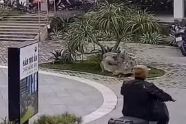 Cơ quan Công an xác minh vụ nam bảo vệ bị hành hung vì đưa vé 'số xấu' cho khách 