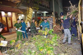 Công an và các lực lượng xuyên đêm dọn dẹp vệ sinh đường phố sau bão Yagi