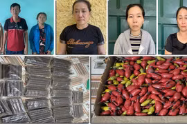 Thủ đoạn tinh vi của đường dây mua bán trái phép vật liệu nổ