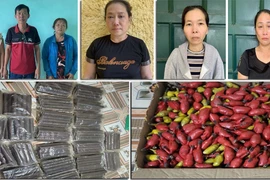 Thủ đoạn tinh vi của đường dây mua bán trái phép vật liệu nổ