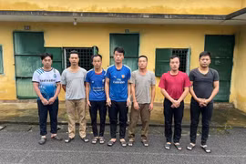 Nhận đơn hàng của gã thợ mộc, nhóm "lâm tặc" vào rừng chặt phá gỗ