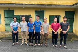 Nhận đơn hàng của gã thợ mộc, nhóm "lâm tặc" vào rừng chặt phá gỗ