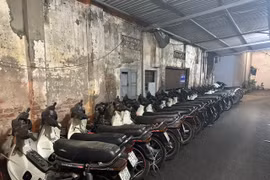 Triệt phá đường dây chuyên trộm xe Honda Dream trên địa bàn Hà Nội